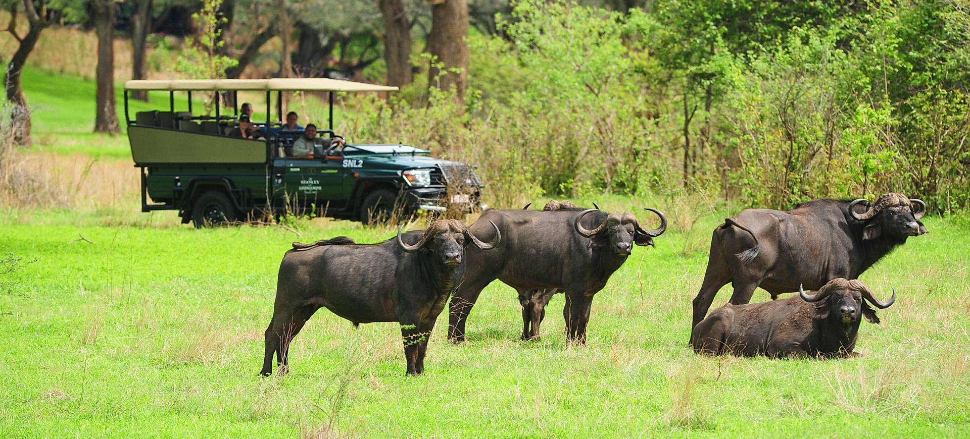 Zambezi Park Game Drive